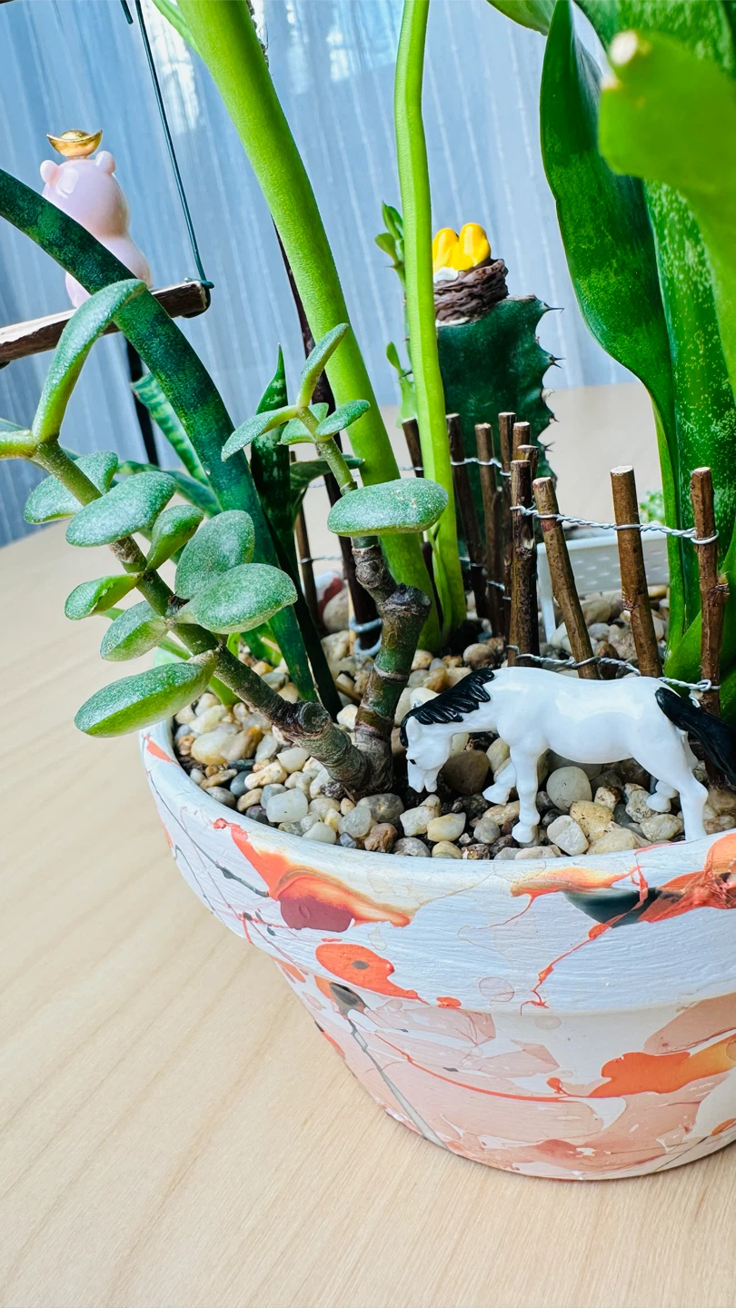 Cute plant arrangement in a hand painted pot - photo 4