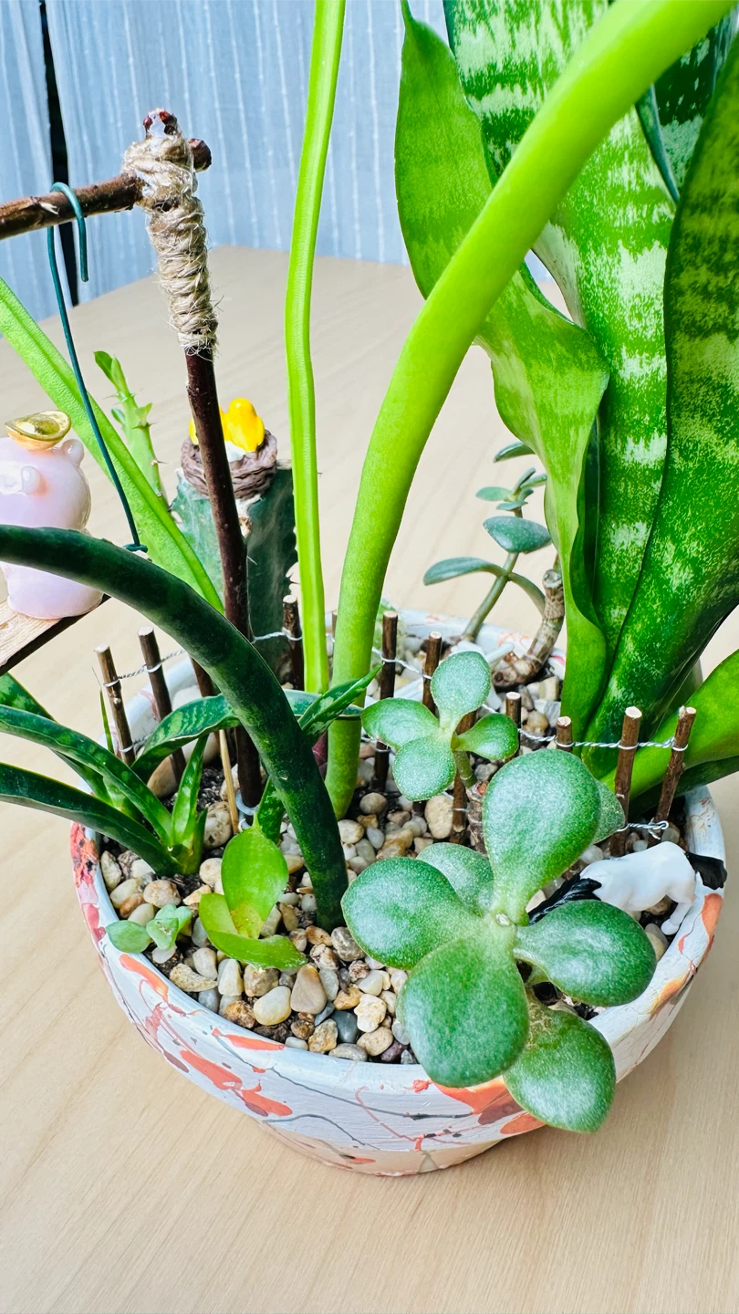 Cute plant arrangement in a hand painted pot - photo 5