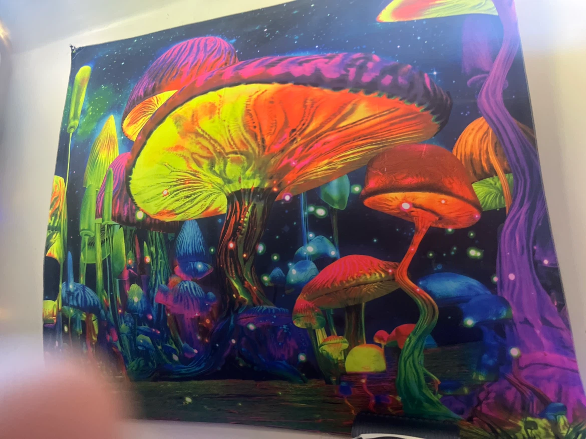 Psychedelic Mushroom Tapestry Wall Hanging