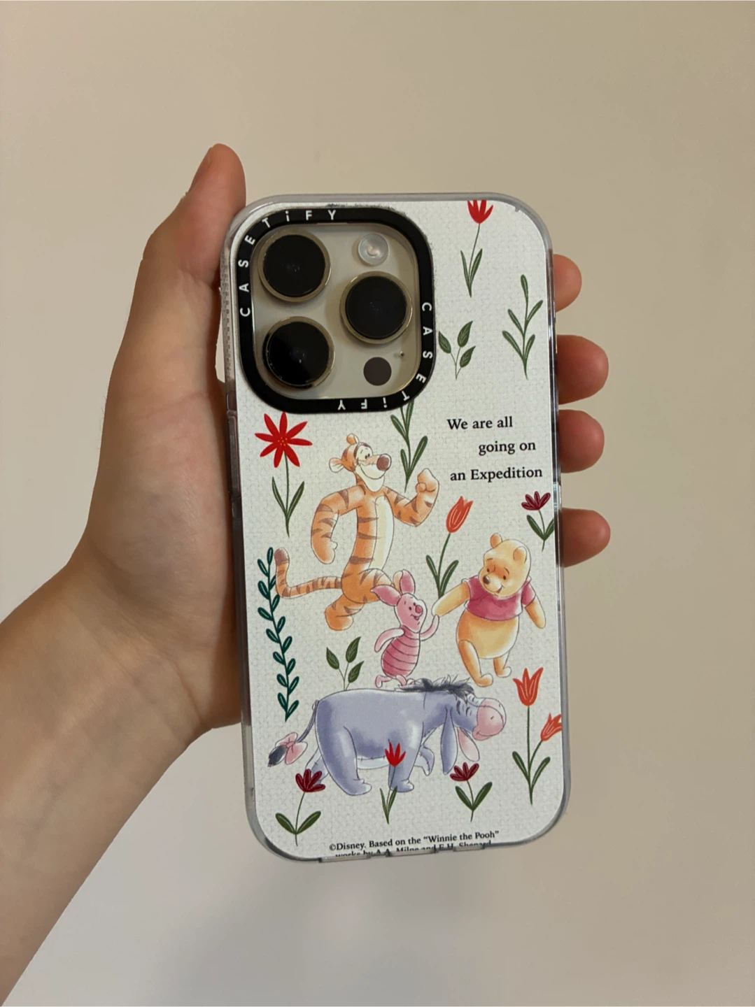 iPhone 14 Pro 256GB + Casetify