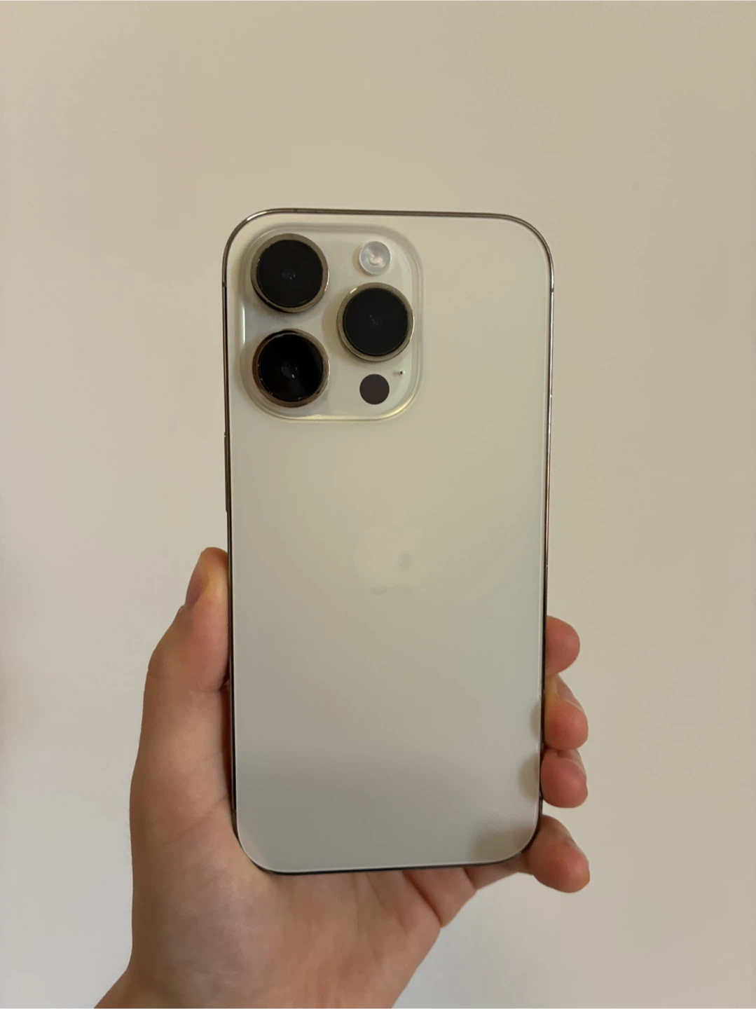 iPhone 14 Pro 256GB + Casetify - photo 2