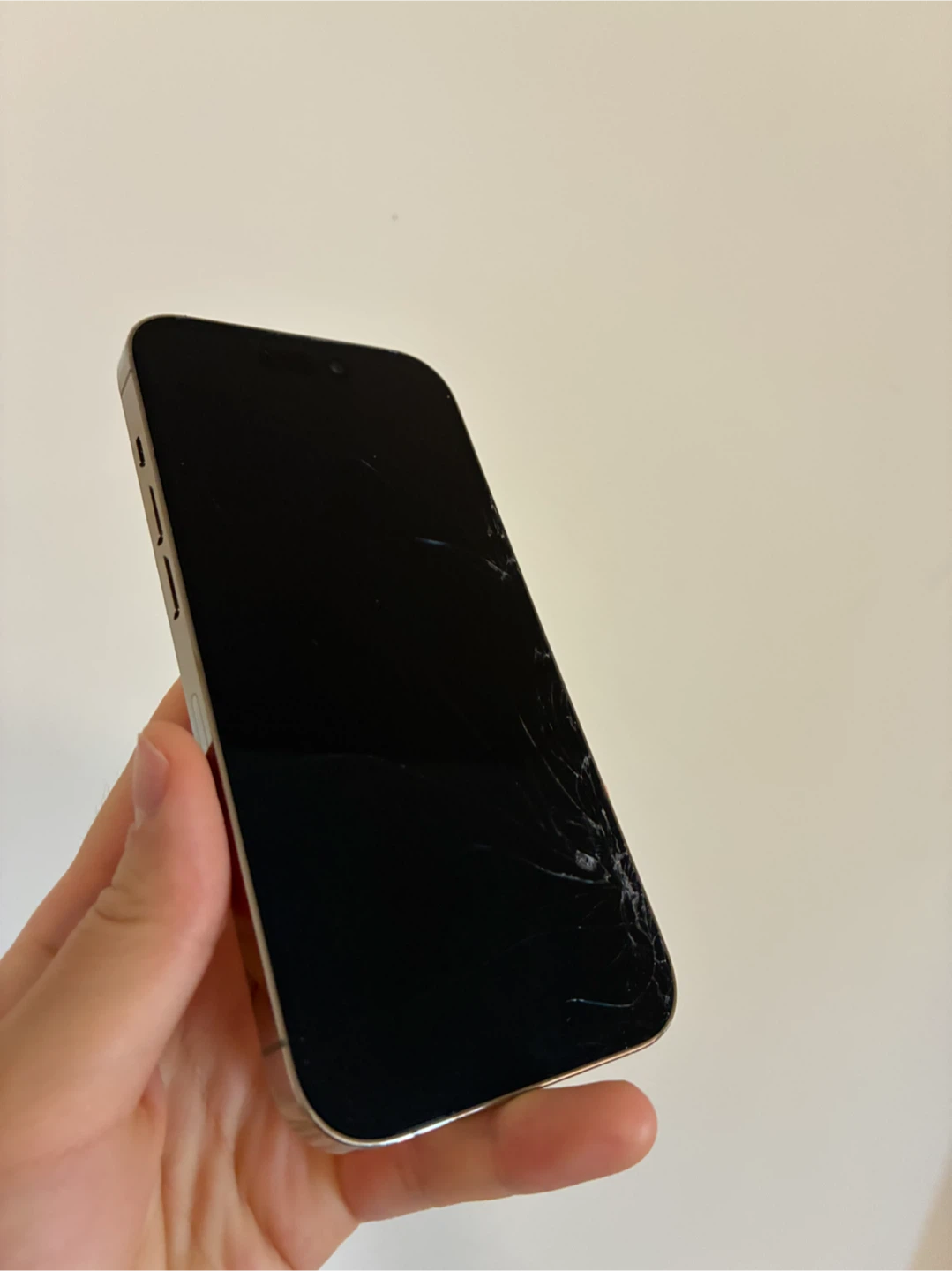 iPhone 14 Pro 256GB + Casetify - photo 3