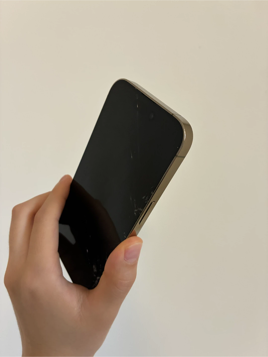 iPhone 14 Pro 256GB + Casetify - photo 4