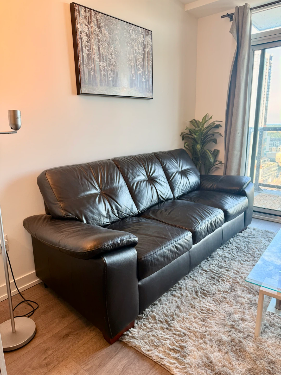 French Canadian genuine Black Leather Sofa