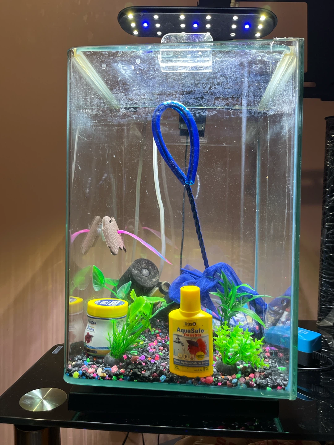 Fish tank