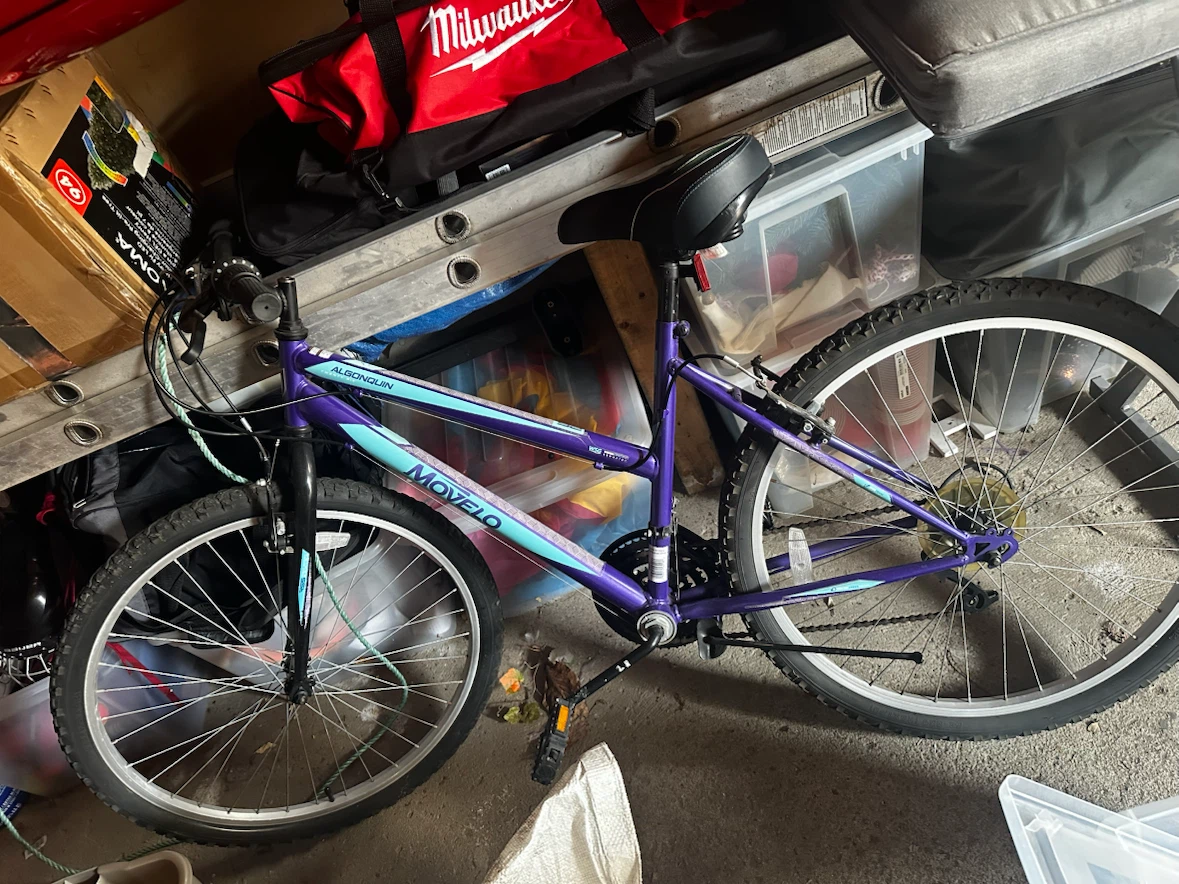 Movelo Algonquin Mountain Bike