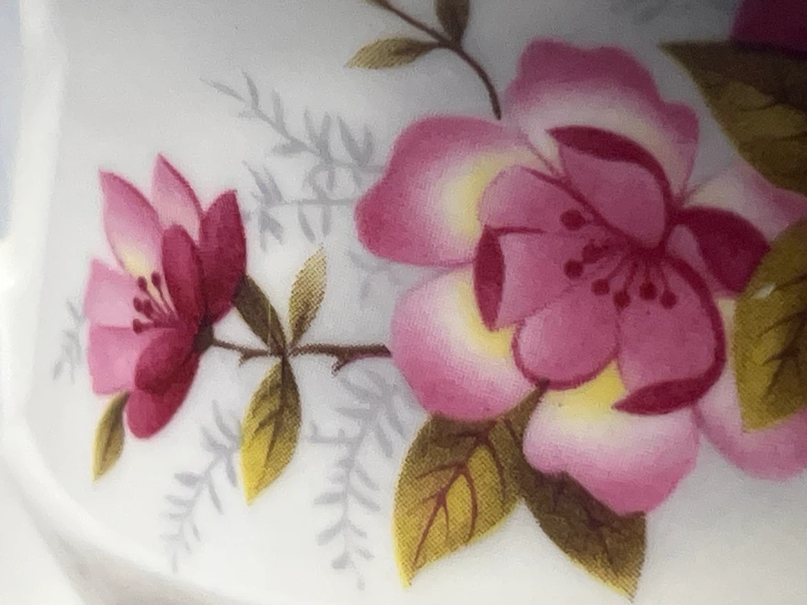 Queen Anne Bone China Cup and Saucer Set - photo 2