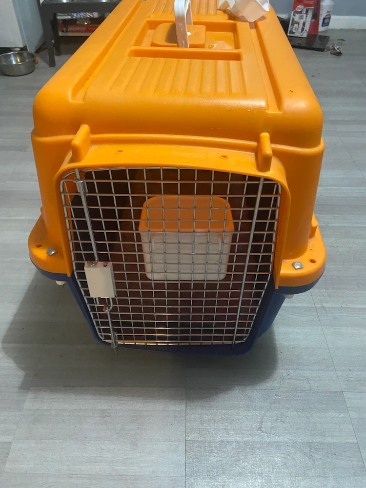 Orange and Blue Pet Carrier with Handle - photo 2