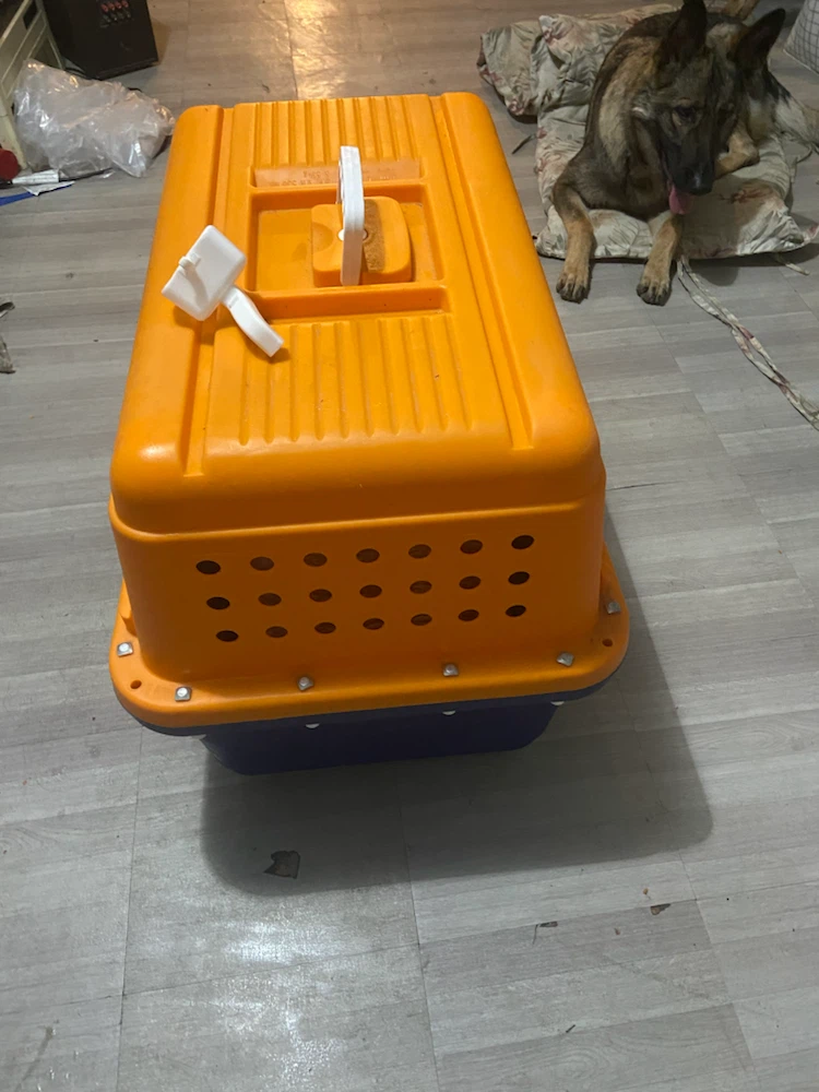 Orange and Blue Pet Carrier with Handle - photo 4