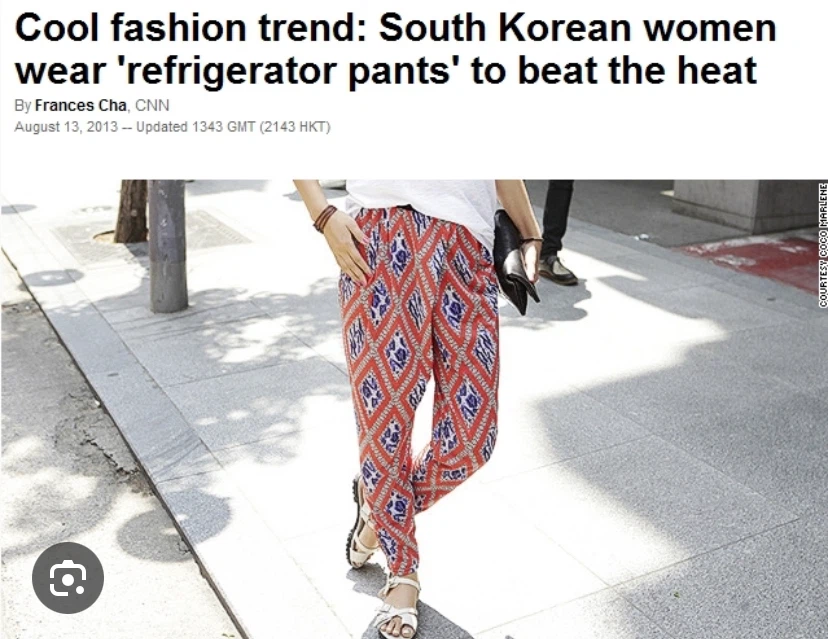 Korean Comfy and Cooling Lightweight "Refrigerator" Pants - photo 5