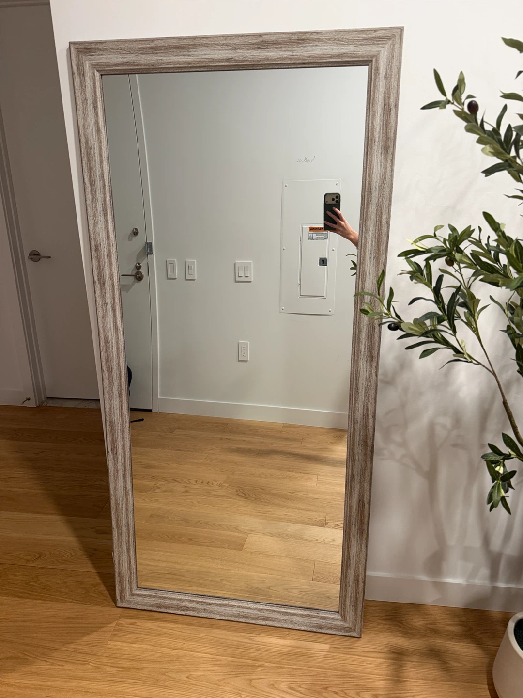 Full Length Wood Frame Mirror