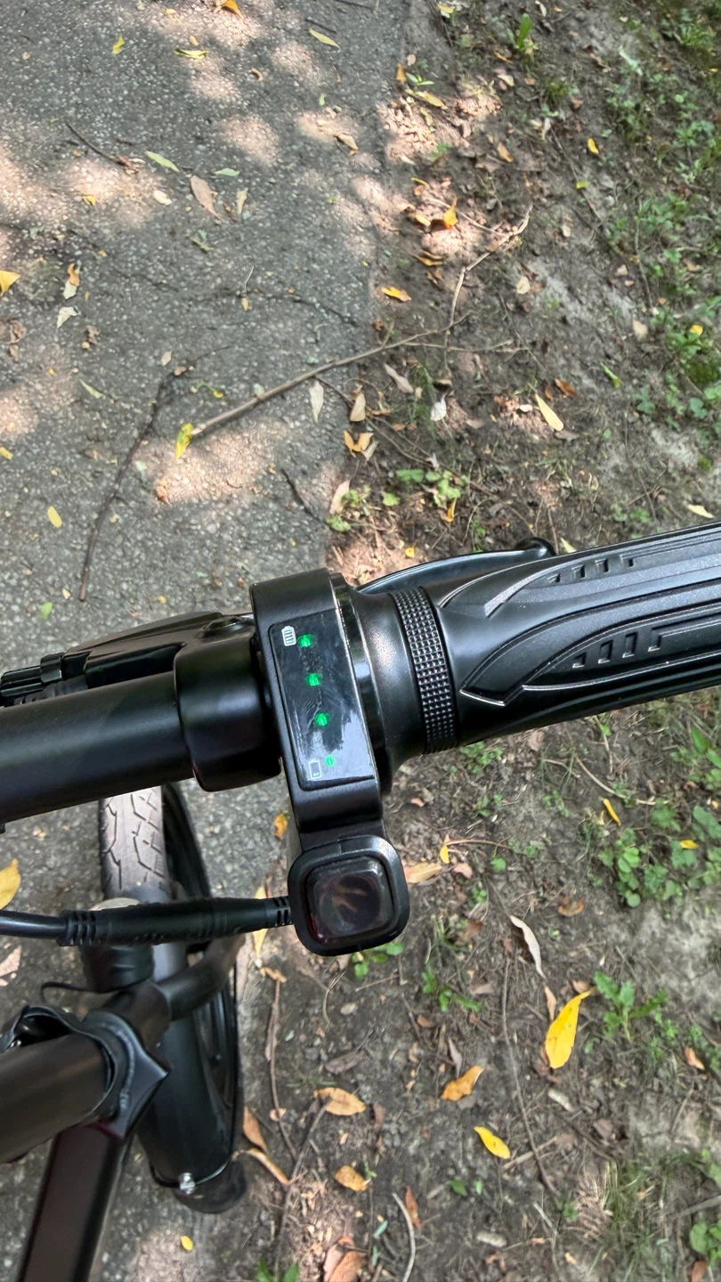 Blutron eb350f e-bike - photo 5