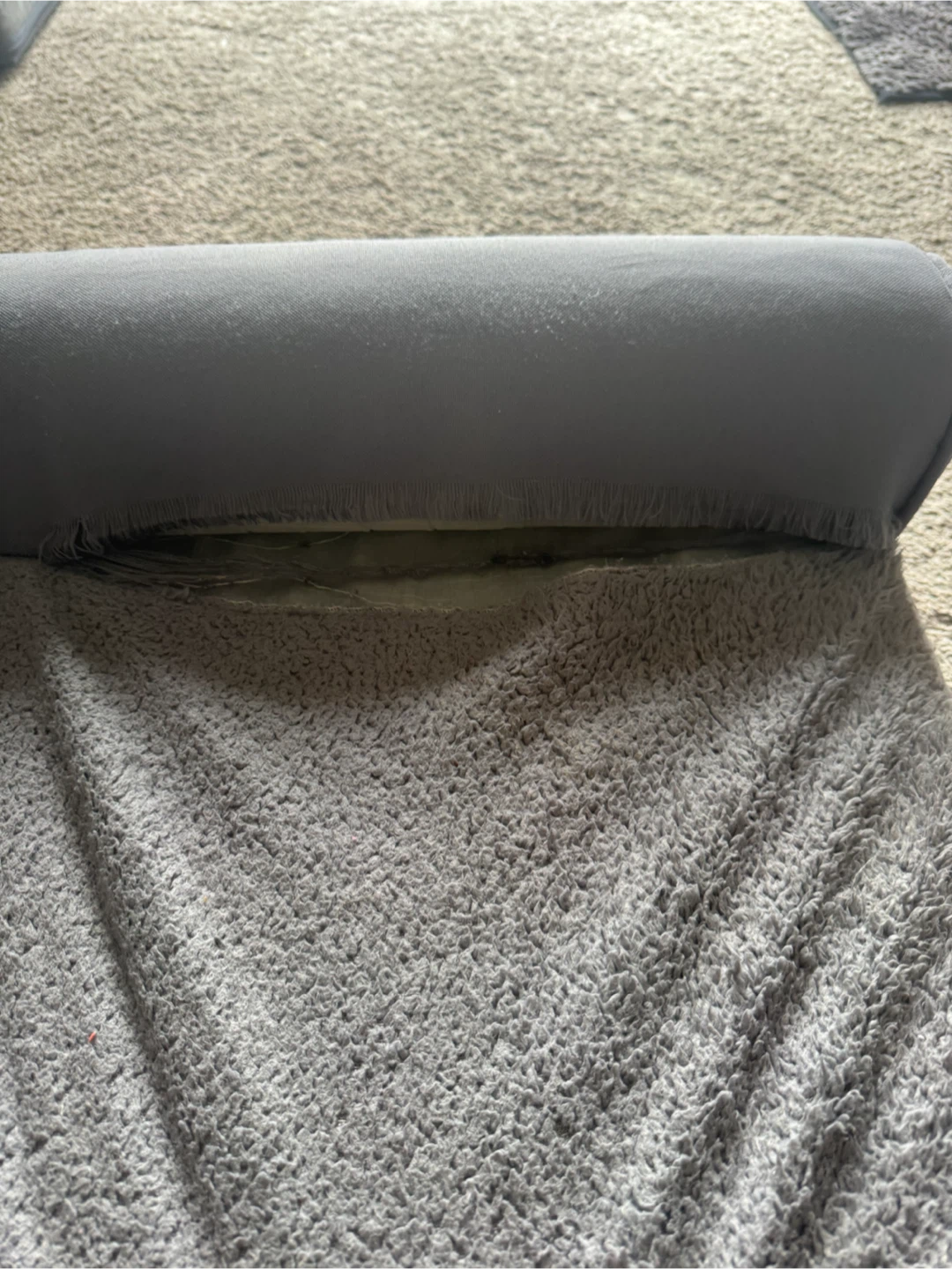 Large Dog Bed - photo 2