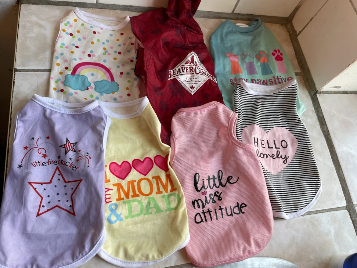 XS 10” Dog Shirts & Raincoat Lot