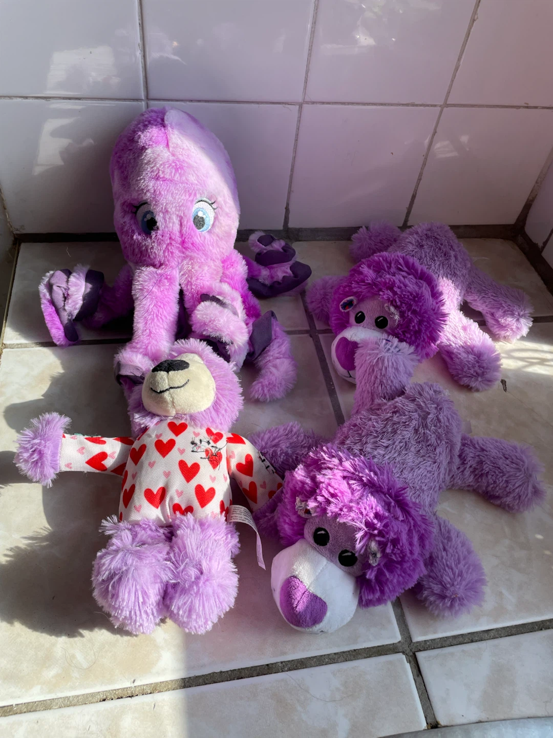 Kong Dog Toys Set