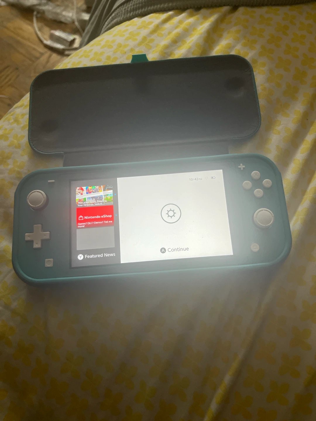Nintendo Switch Lite Case and Console
