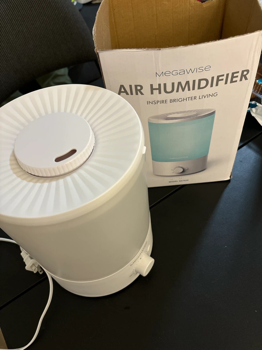 MegaWise Air Humidifier