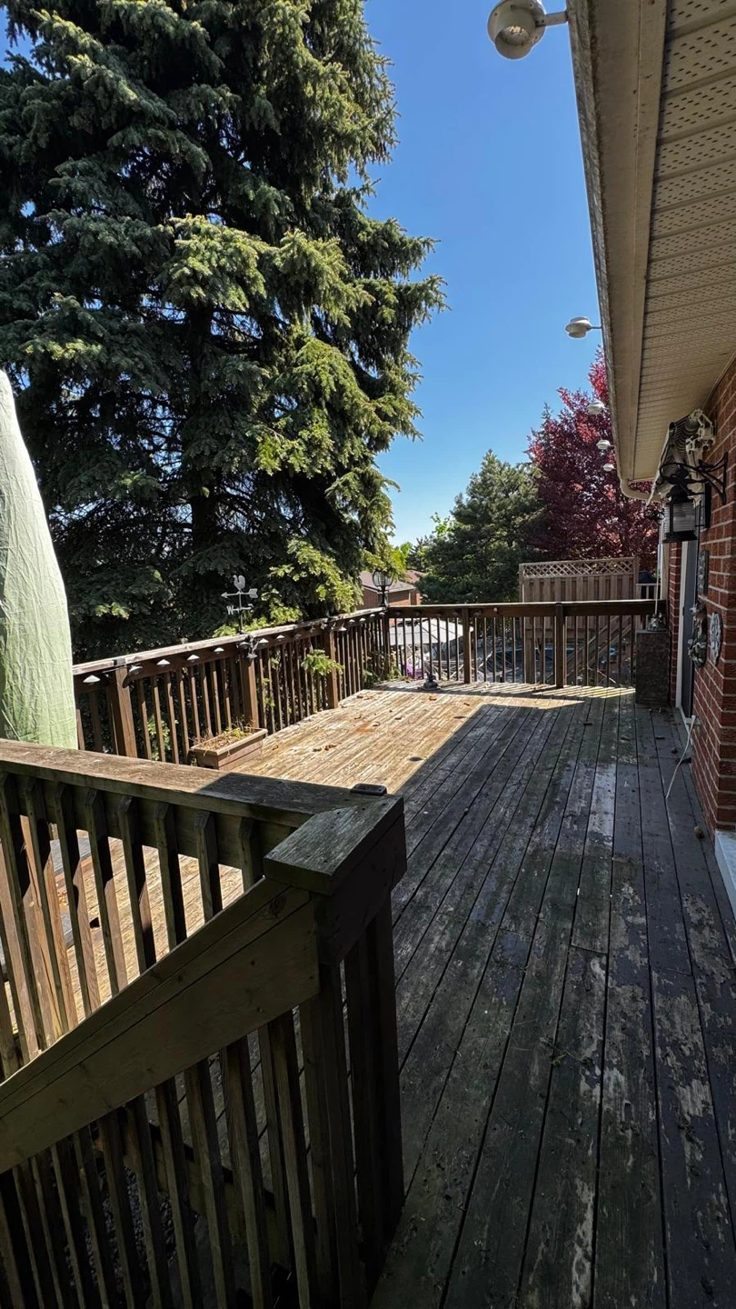 House for rent - photo 2