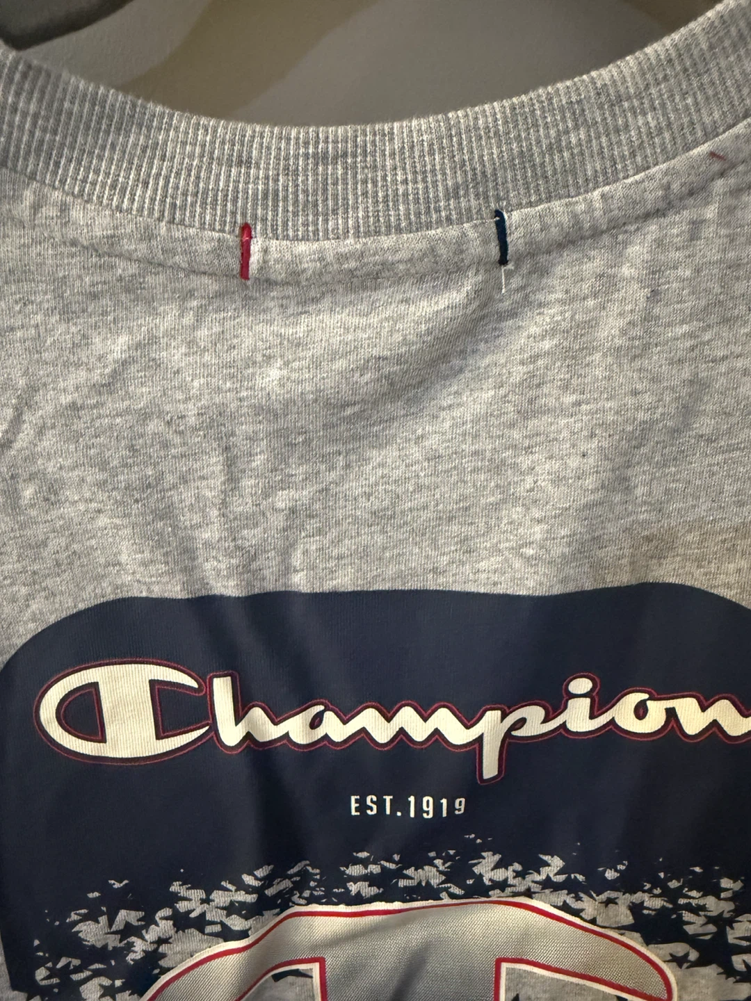 NWT Champion Gold Medal Cropped T-Shirt Size S - photo 4