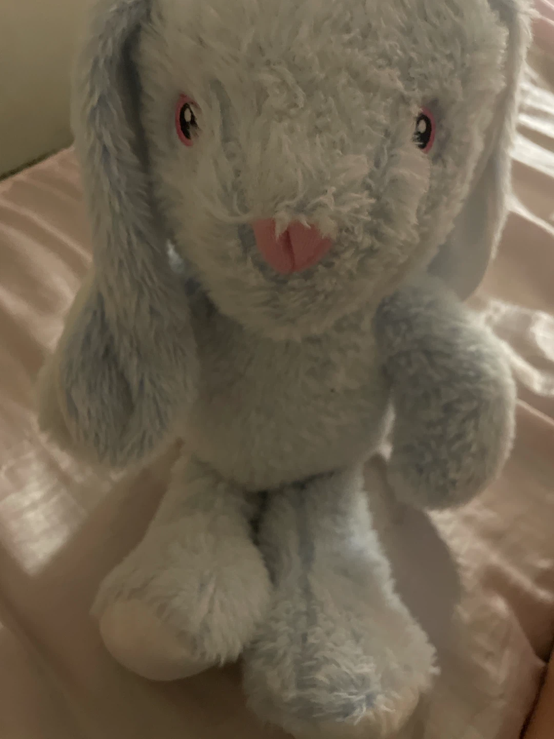 Blue Plush Bunny Stuffed Animal