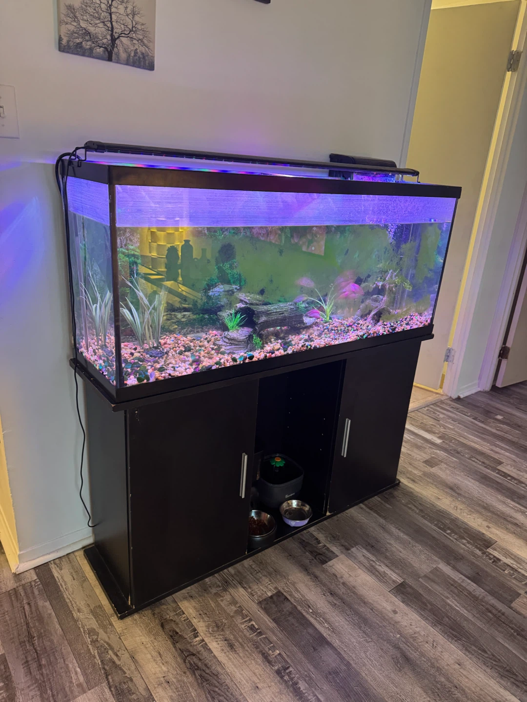 55 ‘ Aquarium with Stand - photo 2