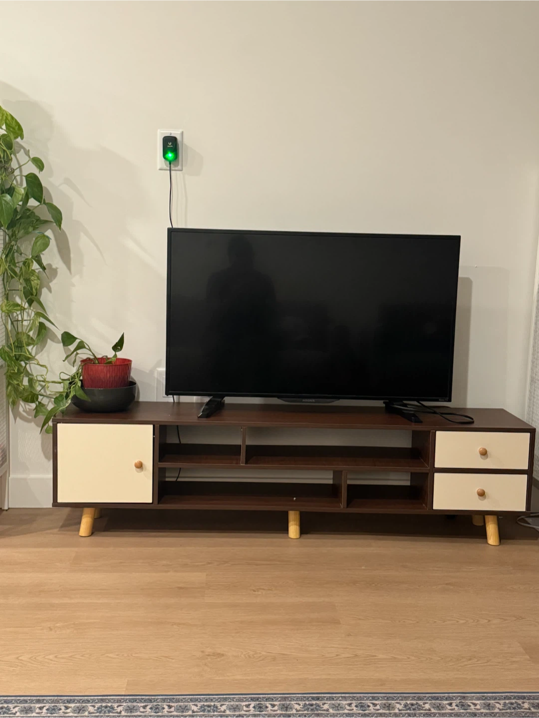 TV Stand with Storage