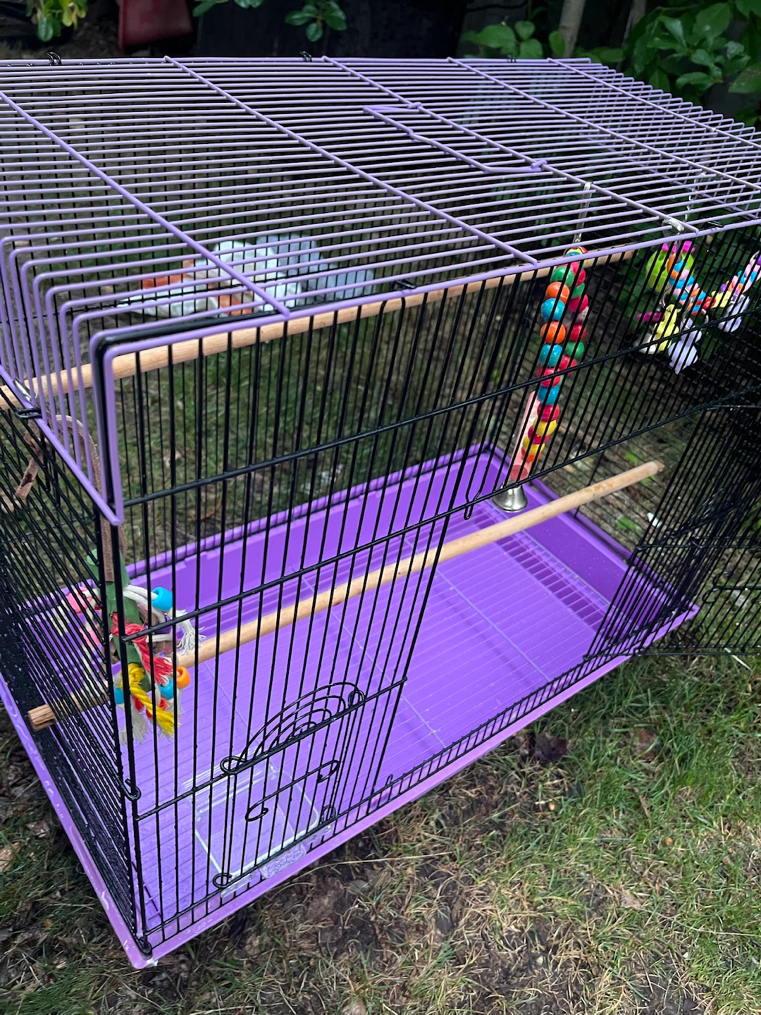 Bird cage - photo 5