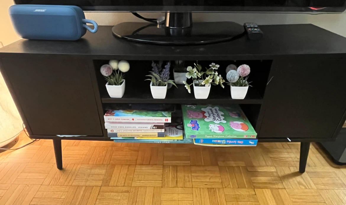 Black TV stand and Media Console with Doors and Shelves
