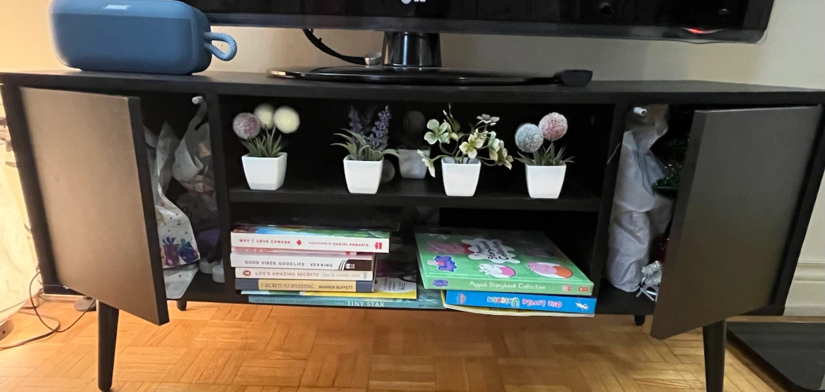 Black TV stand and Media Console with Doors and Shelves - photo 2