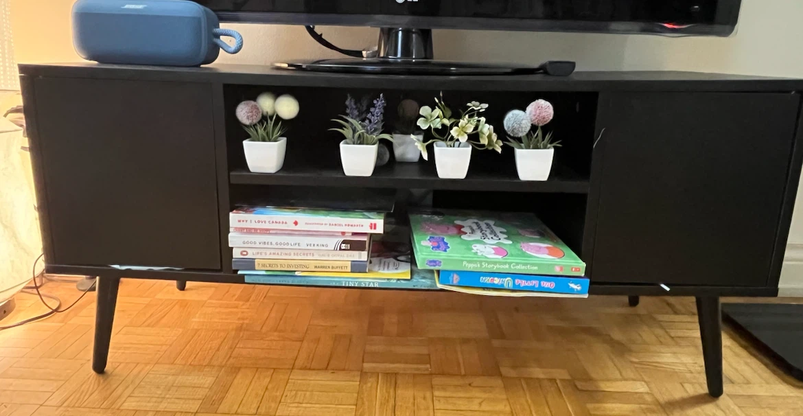 Black TV stand and Media Console with Doors and Shelves - photo 3