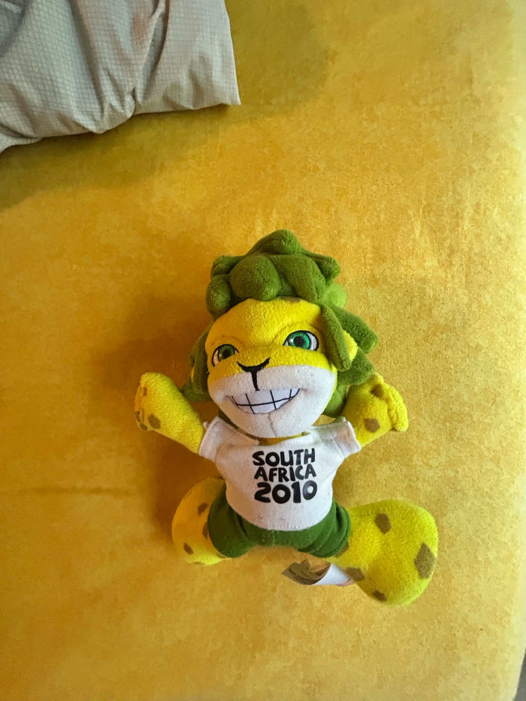 2010 world cup stuffy