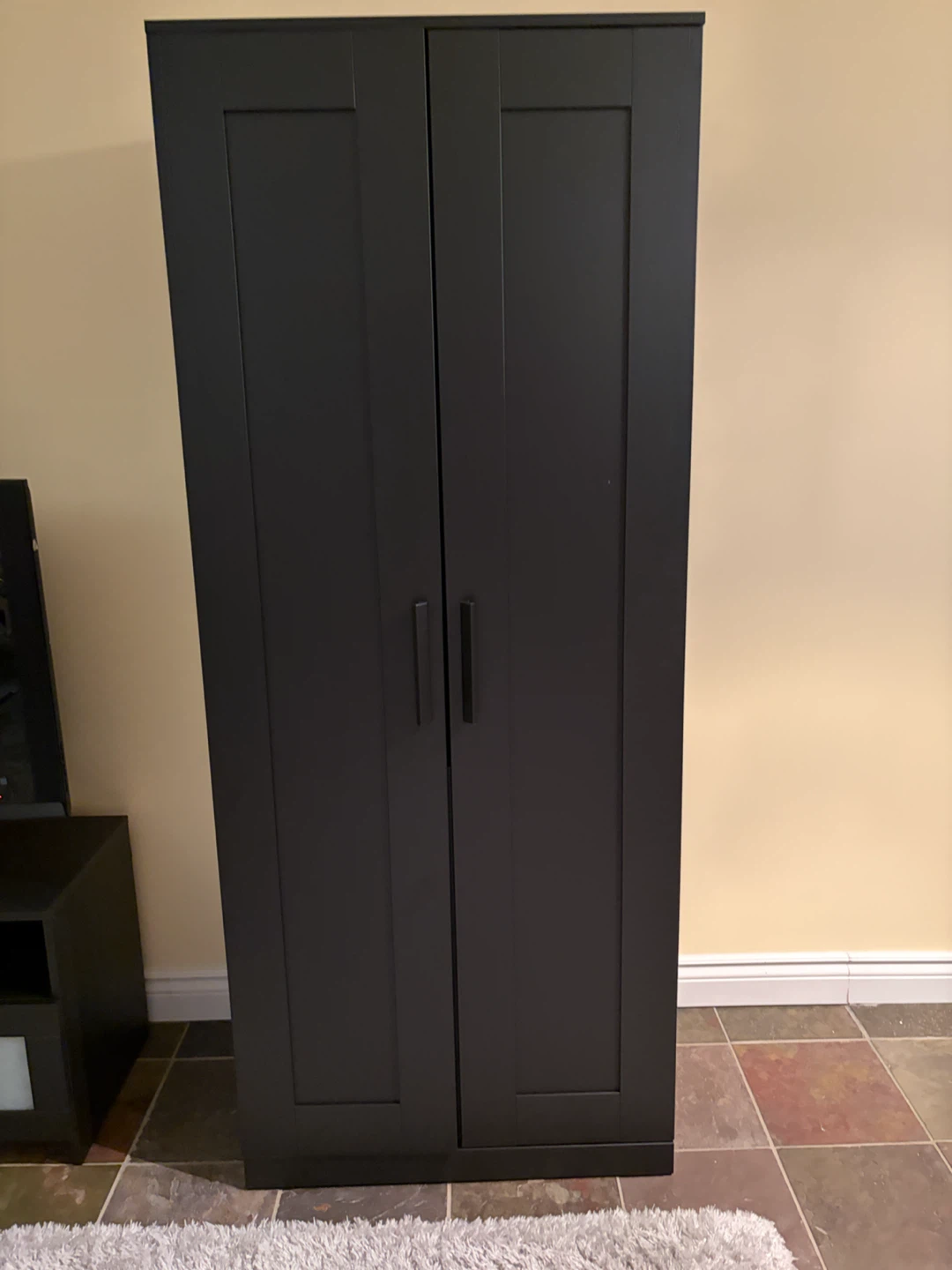 IKEA BRIMNES Wardrobe with 2 doors, black