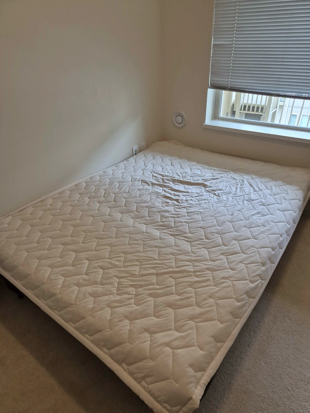 FREE - Sofa Bed - photo 2