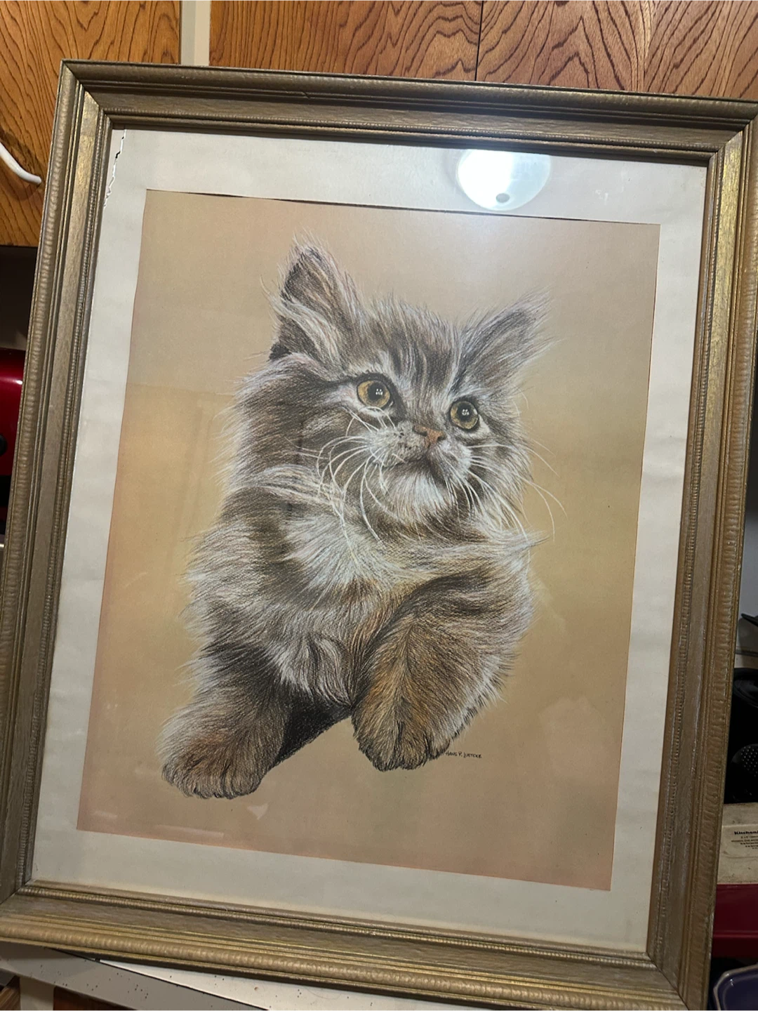 PERSIAN CAT 1976 LITHOGRAPH  PRINT by HANS P LUETCKE