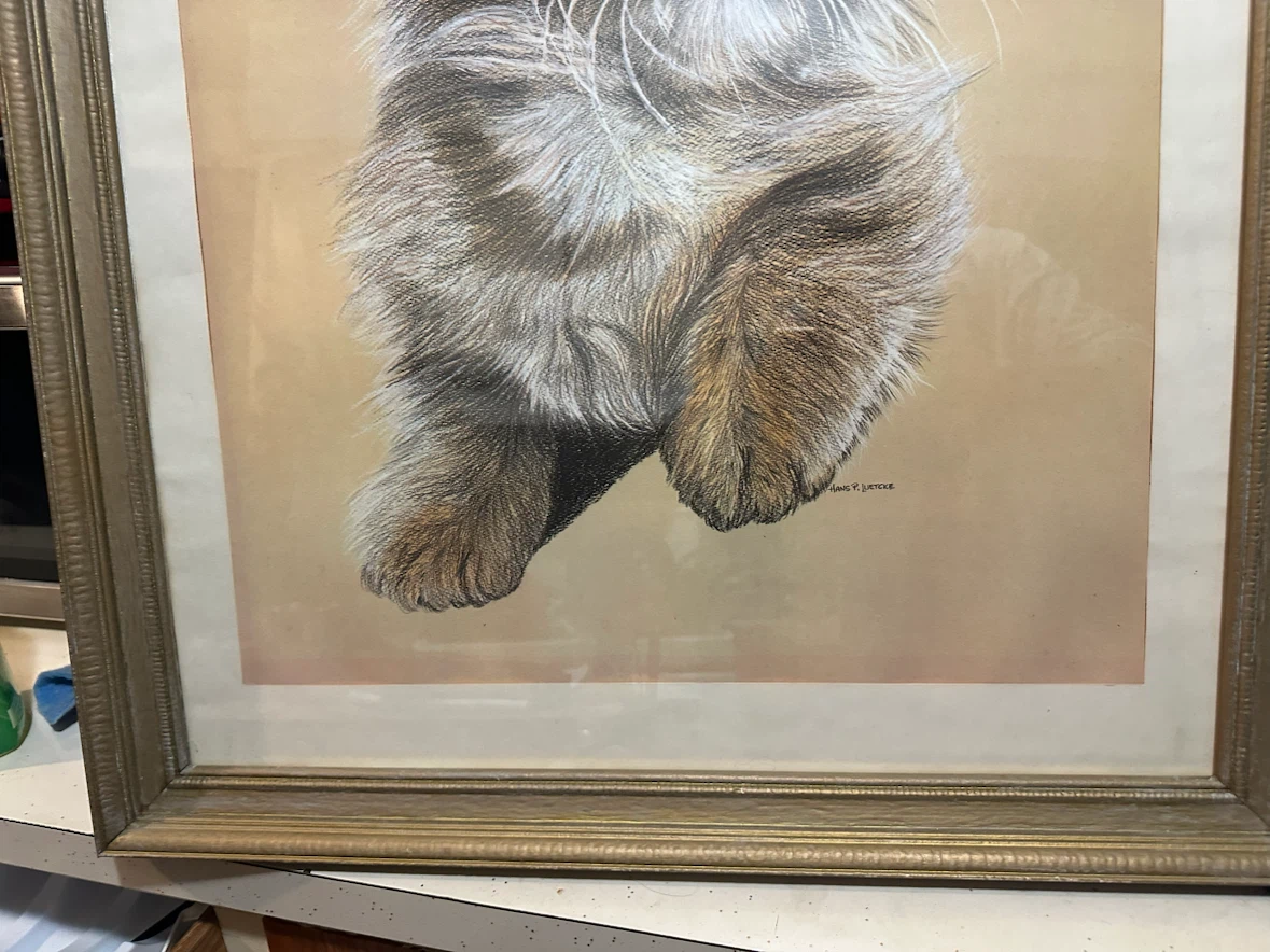 PERSIAN CAT 1976 LITHOGRAPH  PRINT by HANS P LUETCKE - photo 4