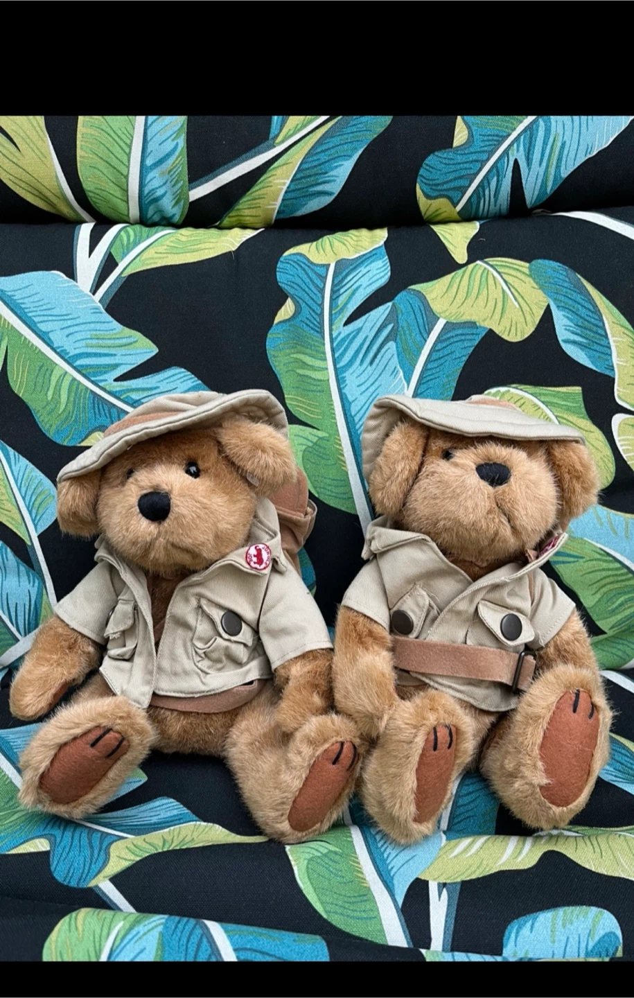 Pair of adorable plush teddy bears