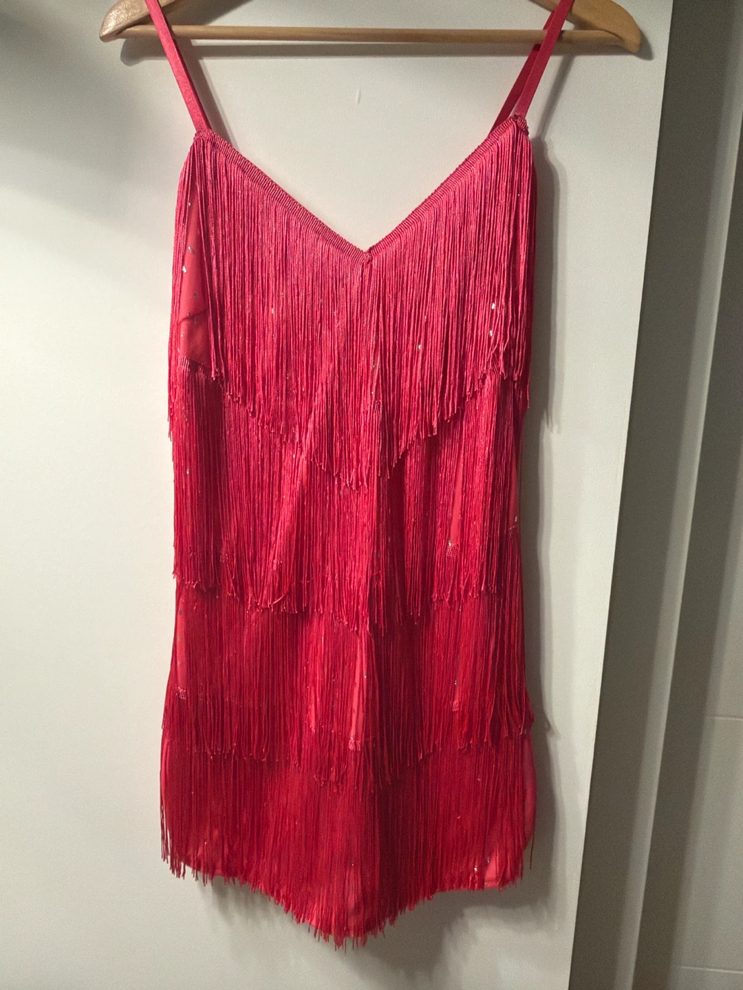 Fringe Flapper Dress