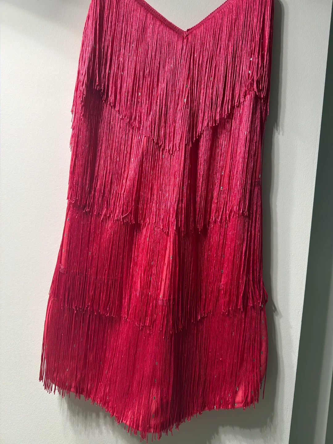 Fringe Flapper Dress - photo 3