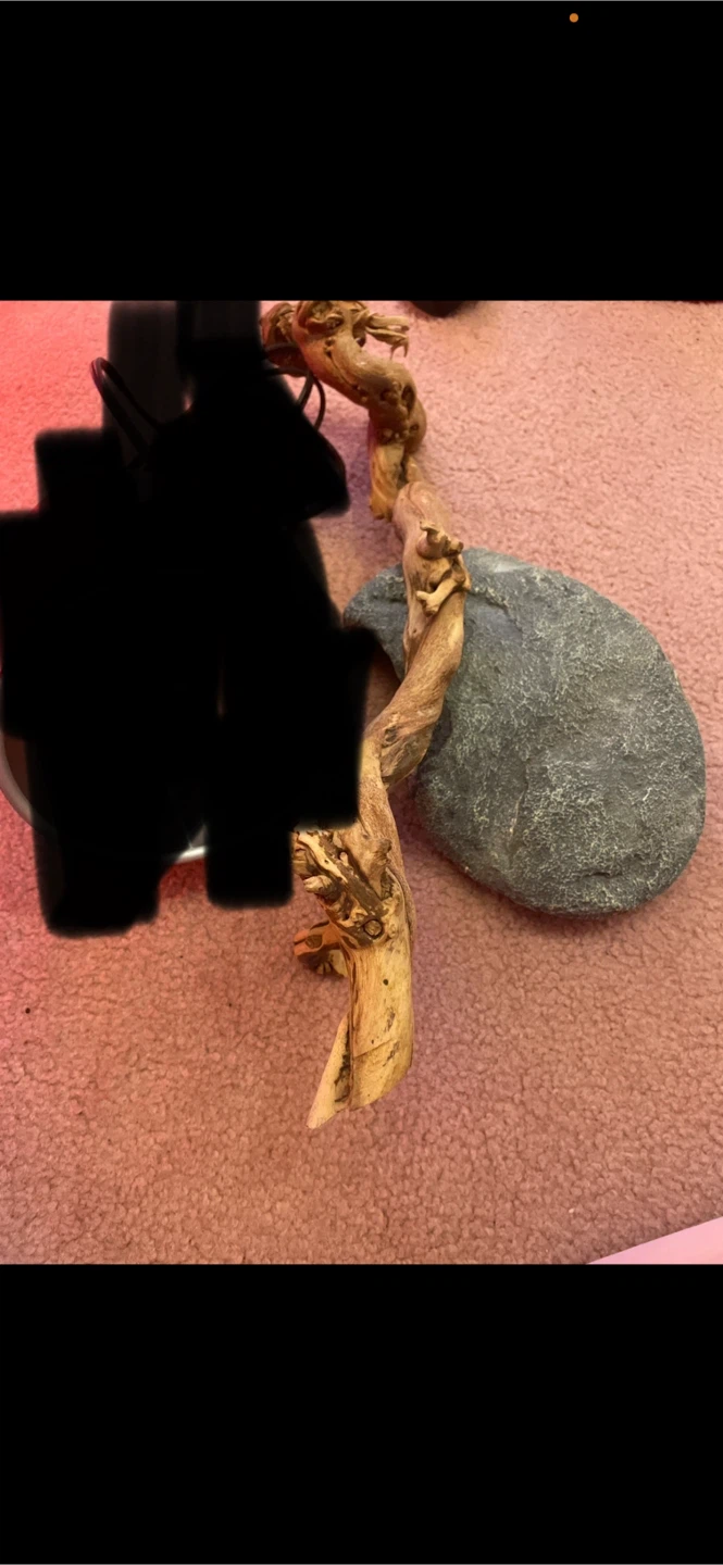 Natural Wood/Rock Decor