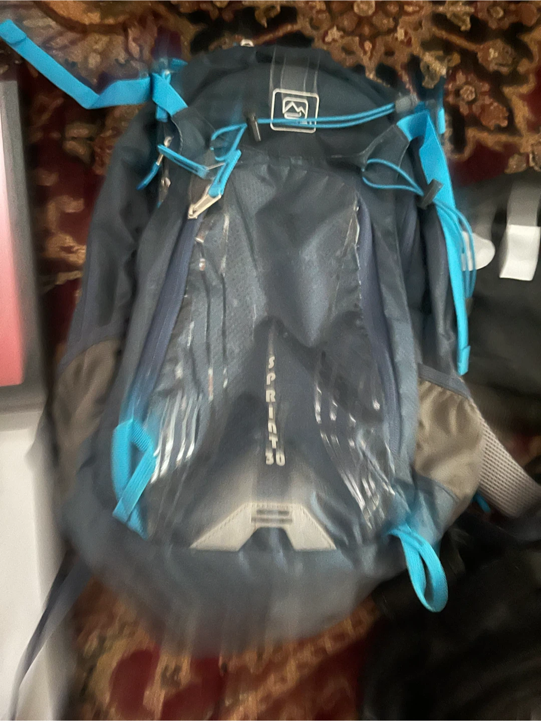 Backpack