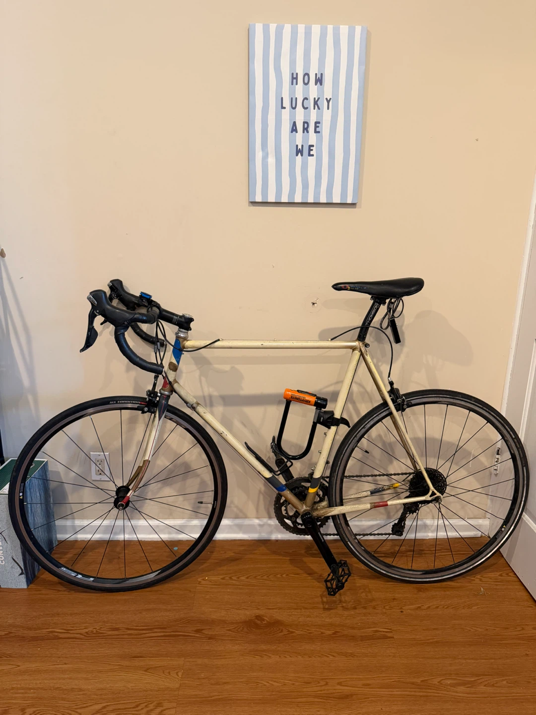 Road Bike with Shimano Components