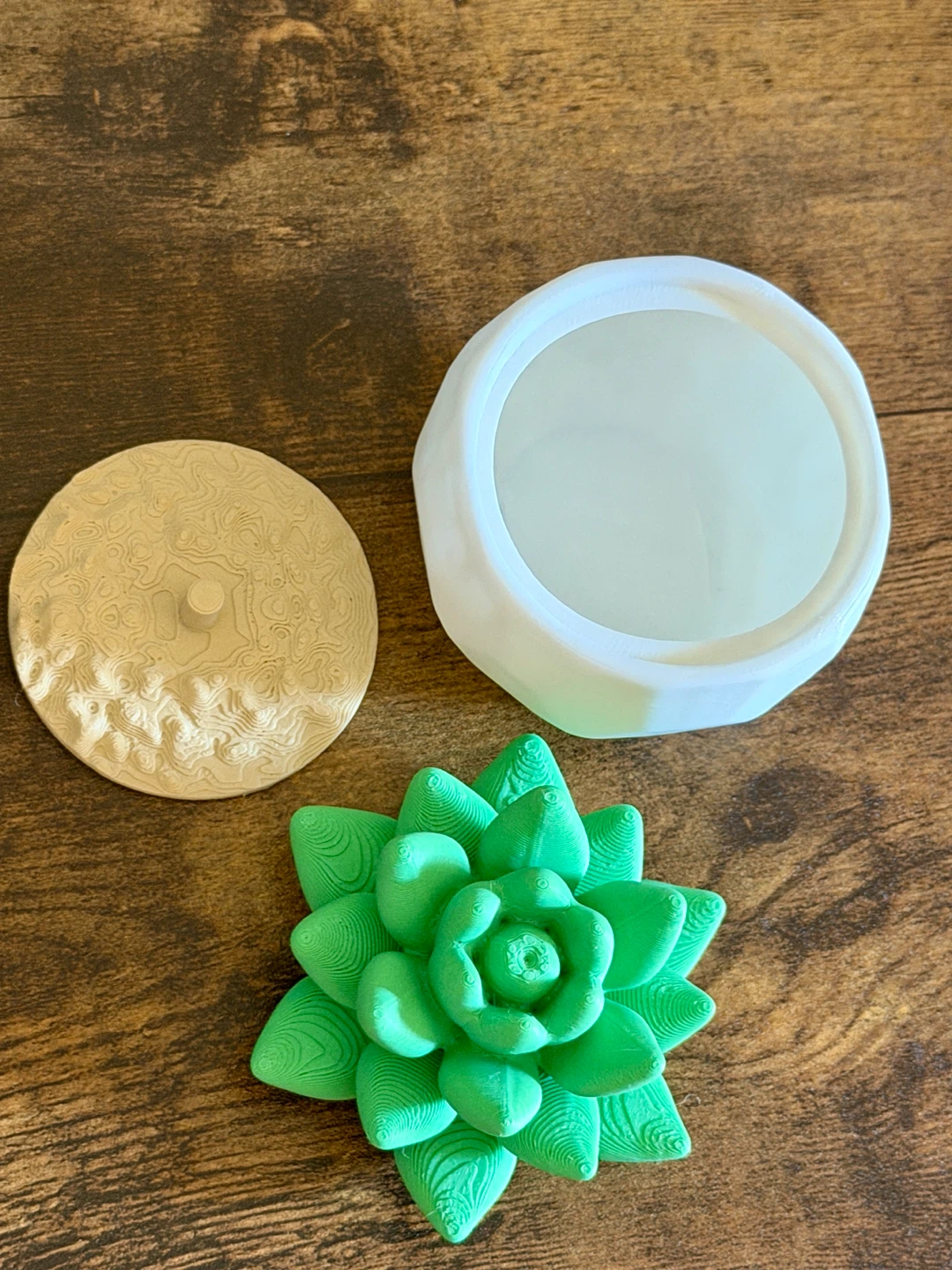 3D Printed Succulent Plant Decor