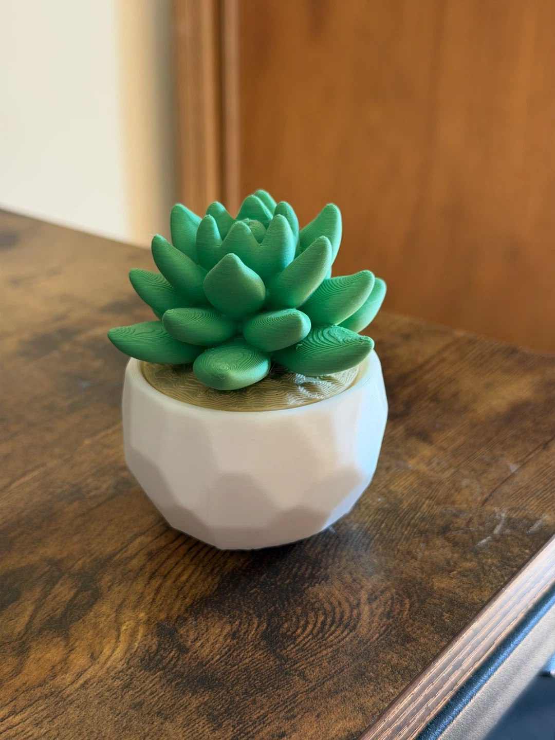 3D Printed Succulent Plant Decor - photo 2