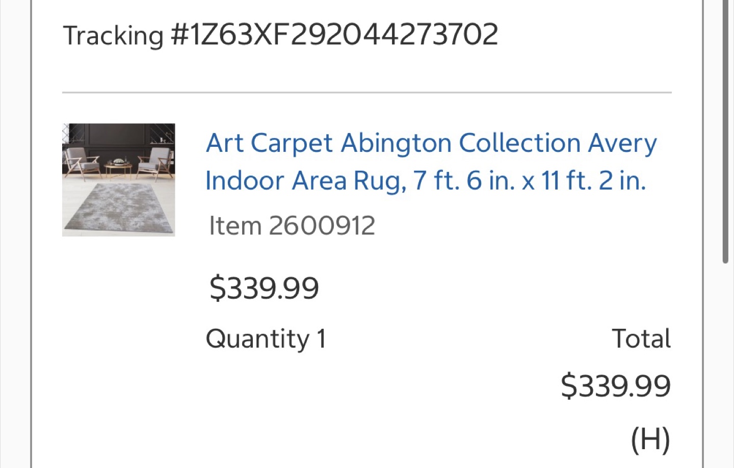 Area Rug - photo 3