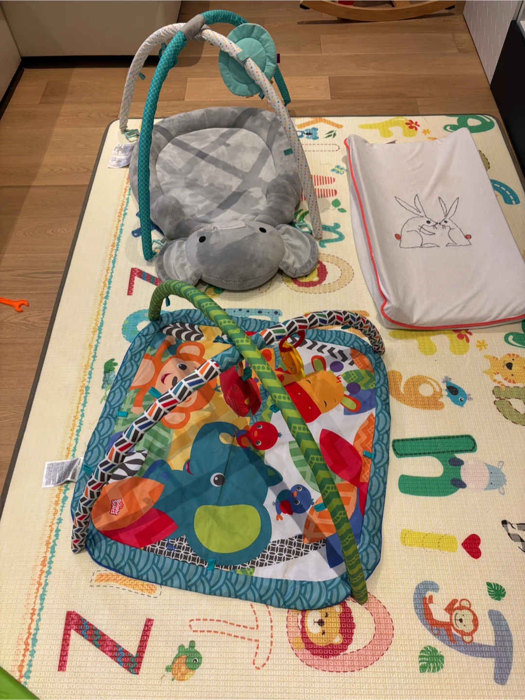 Activity Gym Play Mat