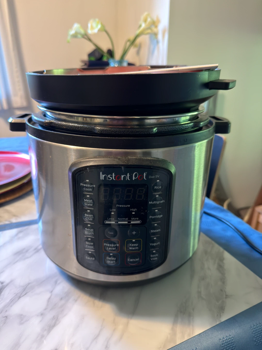 Instant Pot Duo SV 6-Quart Pressure Cooker