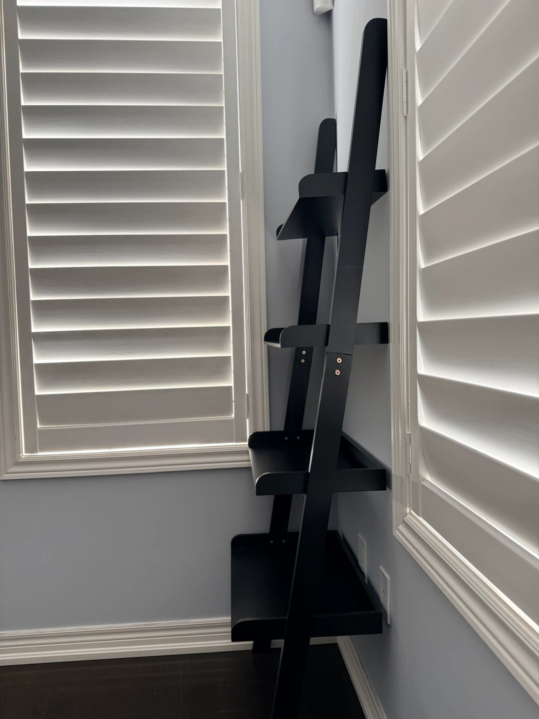 Black Ladder Shelf (set of 2)