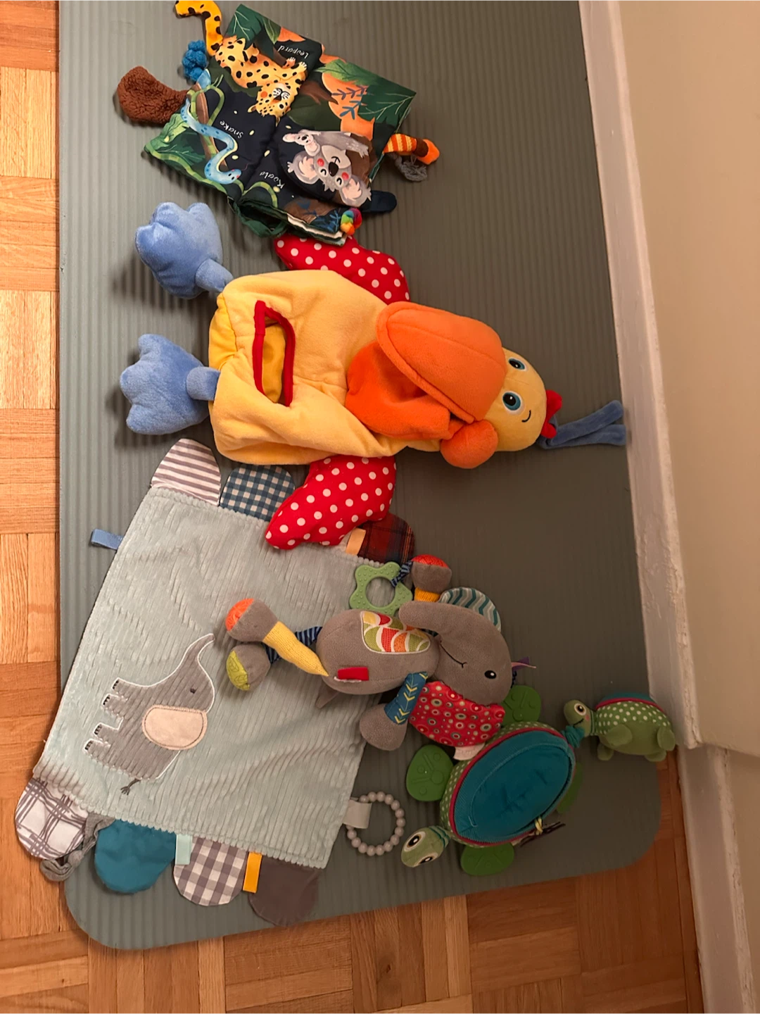 Baby Play Mat with Toys