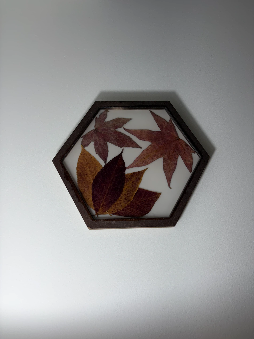 Hexagonal Pressed Leaf Wall Art