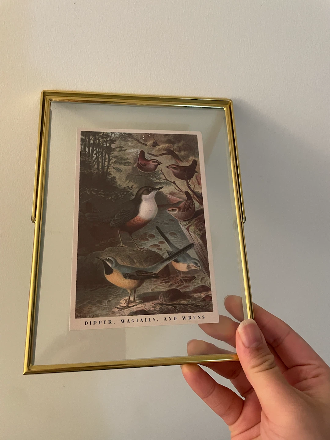 Dollarama art print